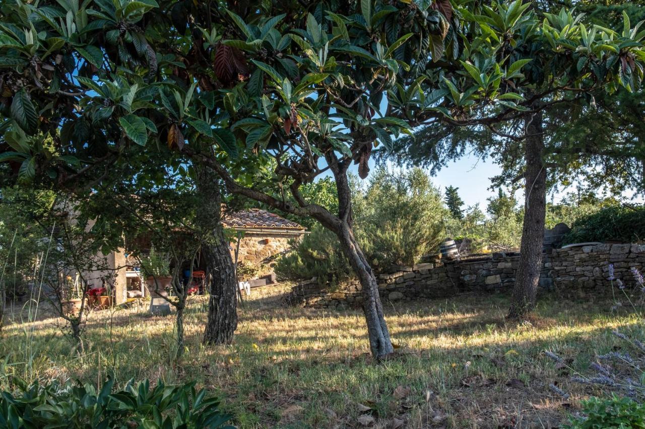 Podere Pruneto Radda in Chianti Eksteriør bilde